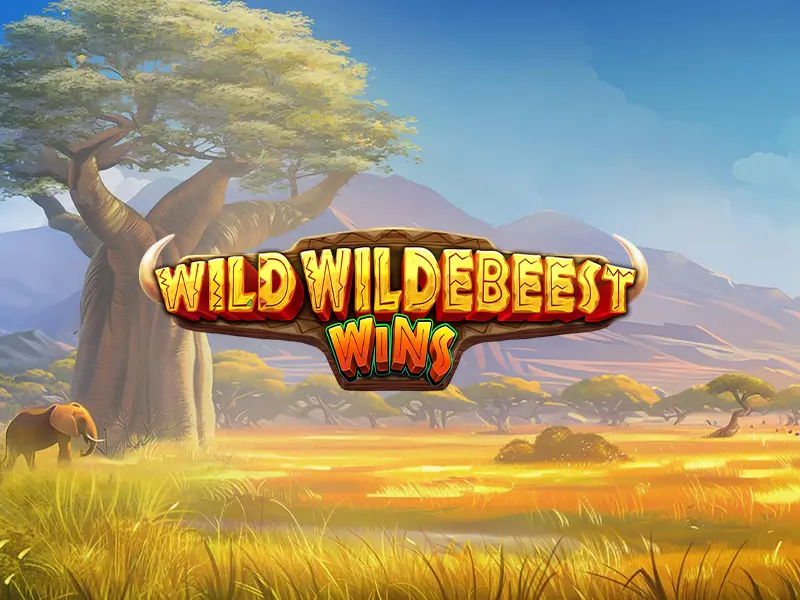Torneio Wild Wildebeest Wins